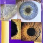 Libri di iridologia 16