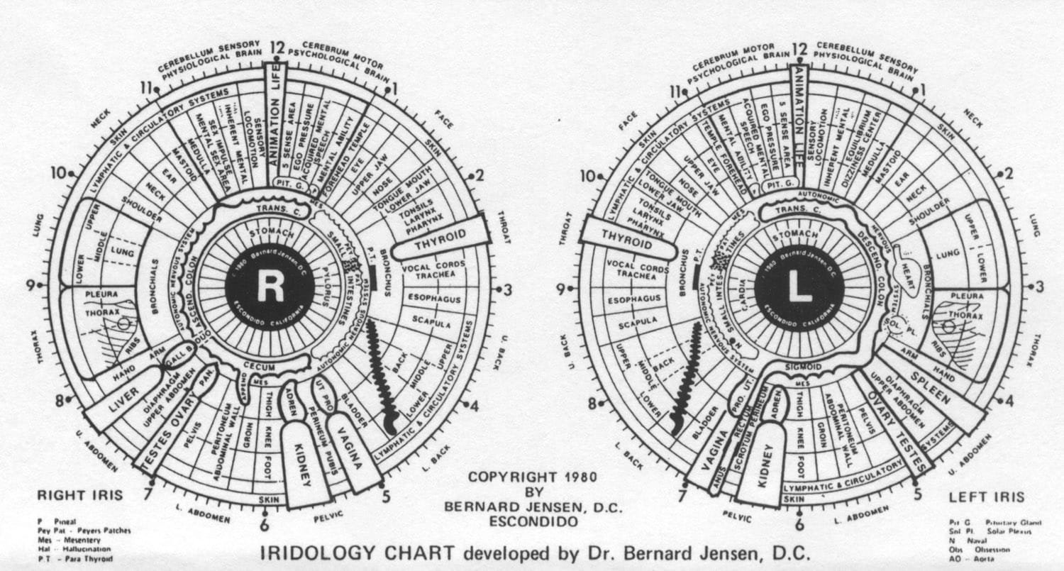 Mappa iridologica del dottor Bernard Jensen