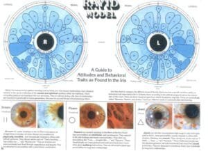Mappe Iridologiche piu Autoritative 14
