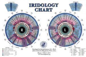 Mappe Iridologiche piu Autoritative 3