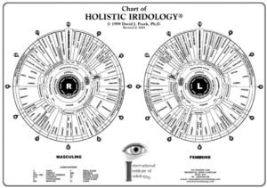 Mappe Iridologiche piu Autoritative 5