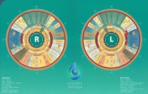 Mappe Iridologiche piu Autoritative 6