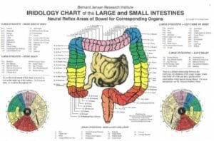Mappe Iridologiche piu Autoritative 9