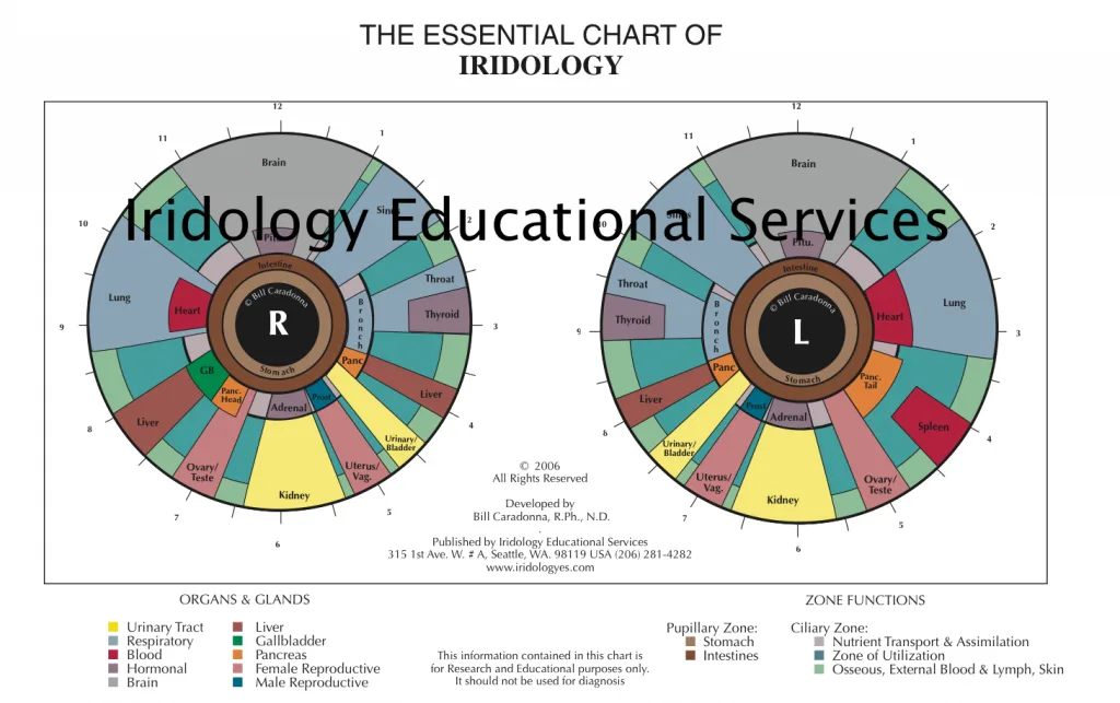 MAPPA IRIDOLOGICA 7 THE ESSENTIAL CHART OF IRIDOLOGY