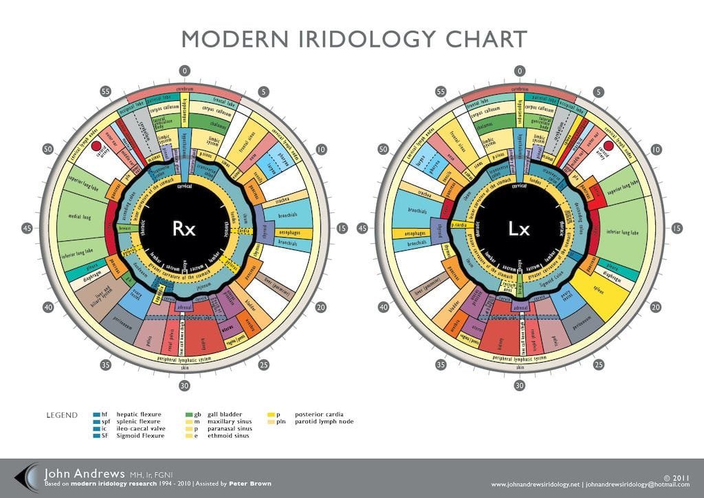 iridologia mappa 12