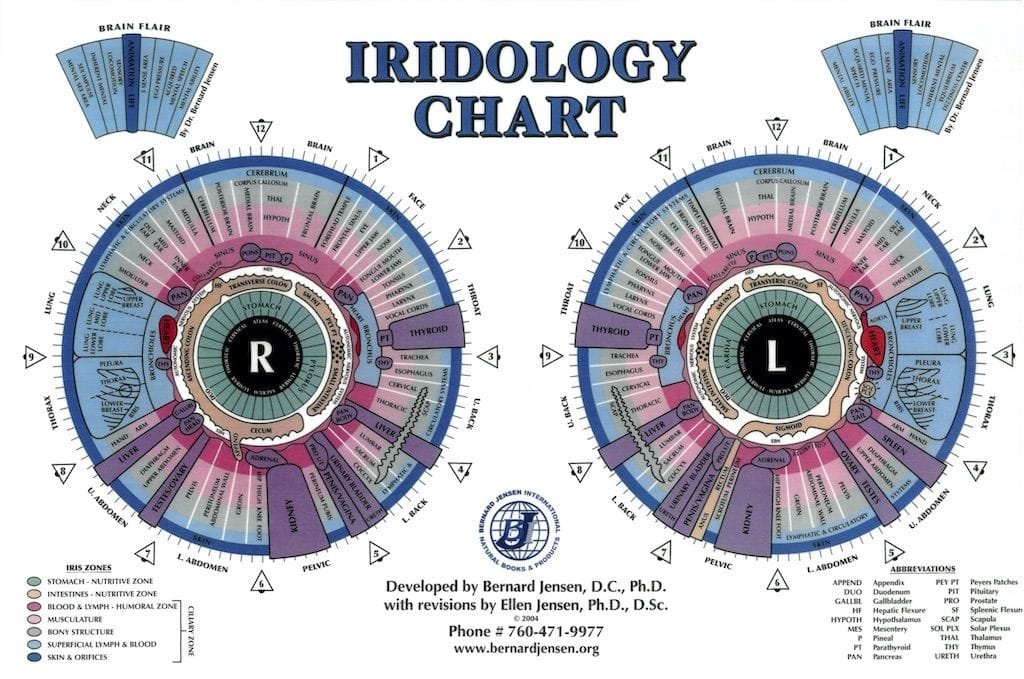 iridologia mappa 3