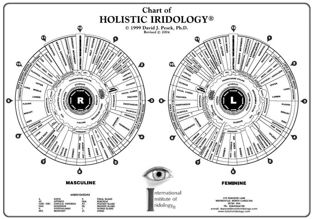 iridologia mappa 5