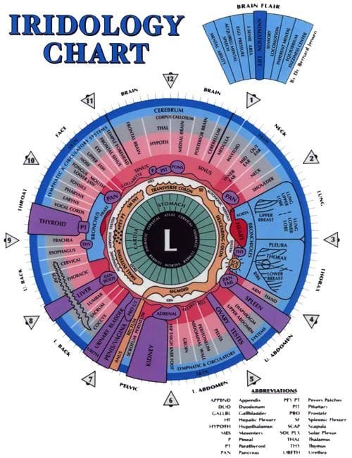 Analisi delle Immagini Iridologiche e loro Significati 5 Mappa dell’Iridologia dell’Occhio Sinistro