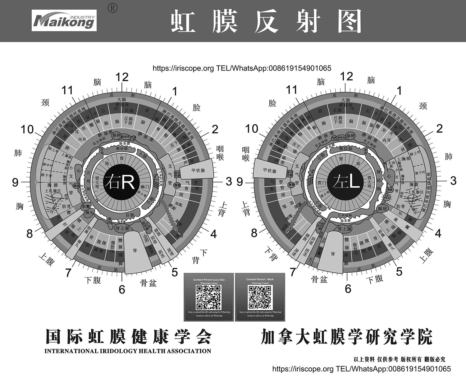 Guida alla Conoscenza dell’Iridologia