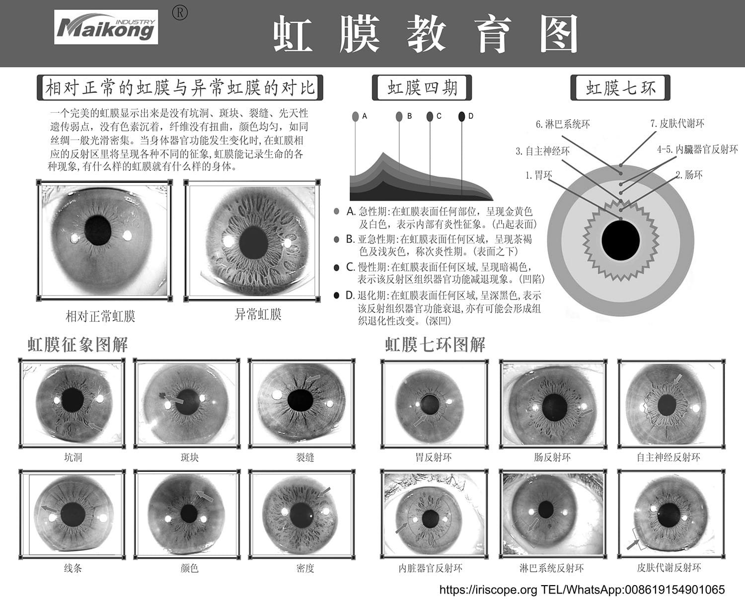 Guida alla Conoscenza dell'Iridologia 2 page4 1 1500