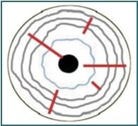 6.2 Spokes Furrow Radii solaris 003
