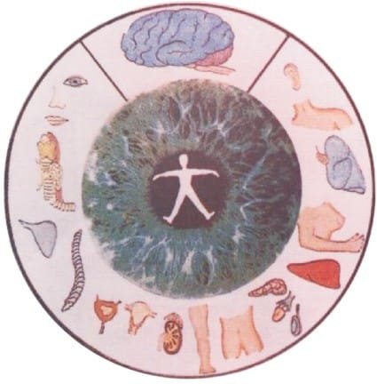 Eye structure and Iris functions011