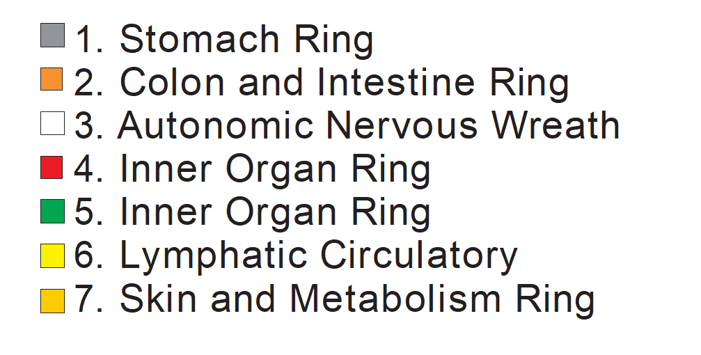 Illustrazione di Iridologia - 3.6 Anello del Metabolismo Cutaneo 2 The seven zones of iris chart