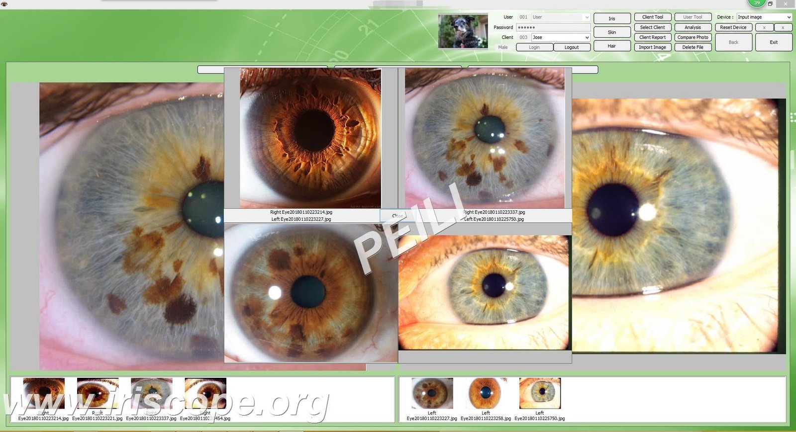 Come localizzare il software MAIKONG per clienti e distributori in Italia: guida pratica e passaggi immediati 5 Come localizzare il software MAIKONG per clienti e distributori in Italia: guida pratica e passaggi immediati — MAIKONG IRIDOLOGY CAMERA (40).JPG