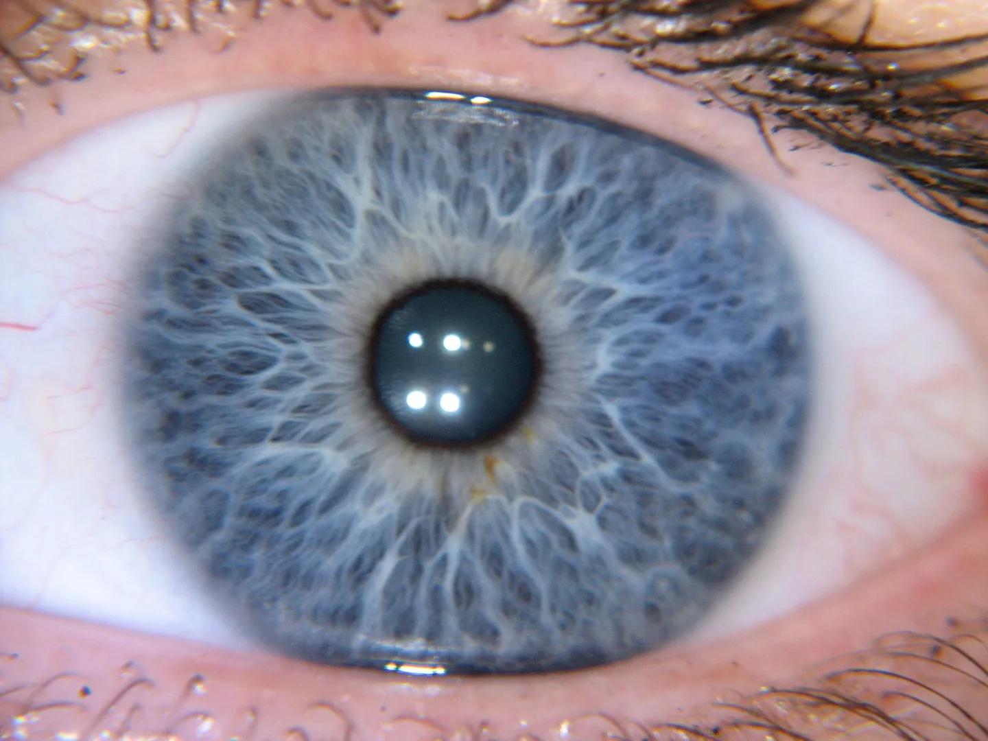 Where can a Venditori e acquirenti target in Italia: I potenziali venditori dei nostri iridoscopi MAIKONG comprendono importatori di — MAIKONG IRIDOLOGY CAMERA (1502).jpg