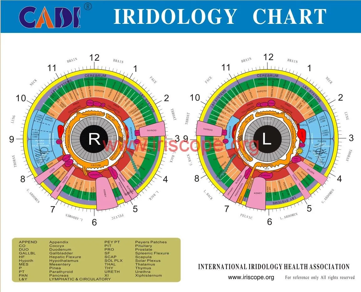 What should buyers compare before purchasing iride significato? 7 What should buyers compare before purchasing iride significato? — MAIKONG IRIDOLOGY CAMERA (672).JPG
