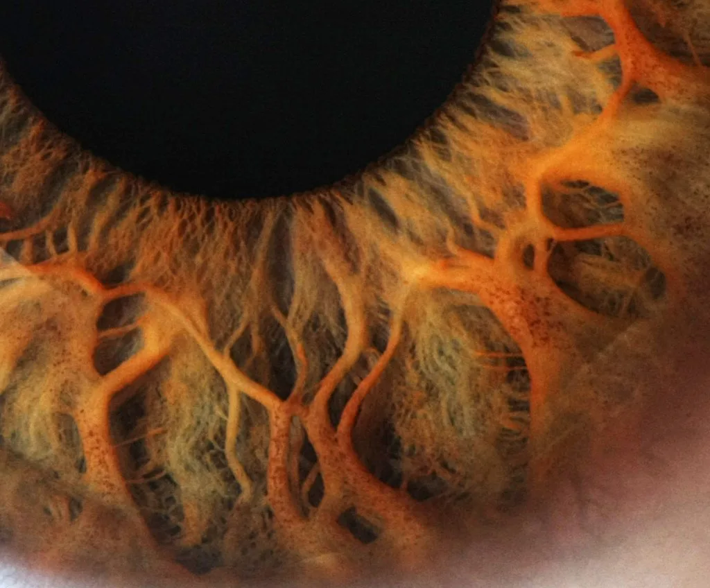 Iridoscopio portatile: guida pratica per centri benessere in Italia — MAIKONG IRIDOLOGY CAMERA (1592).jpg