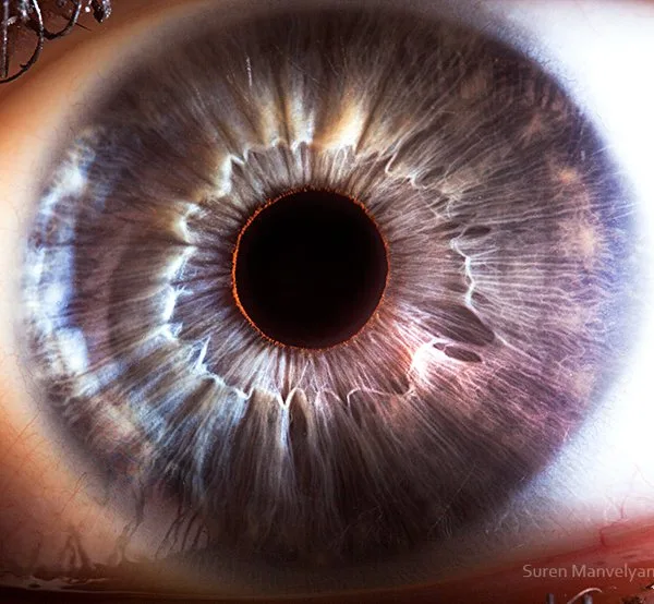 Iridoscopio professionale: quale scegliere per uso formativo e benessere in Italia — MAIKONG IRIDOLOGY CAMERA (2474).JPG