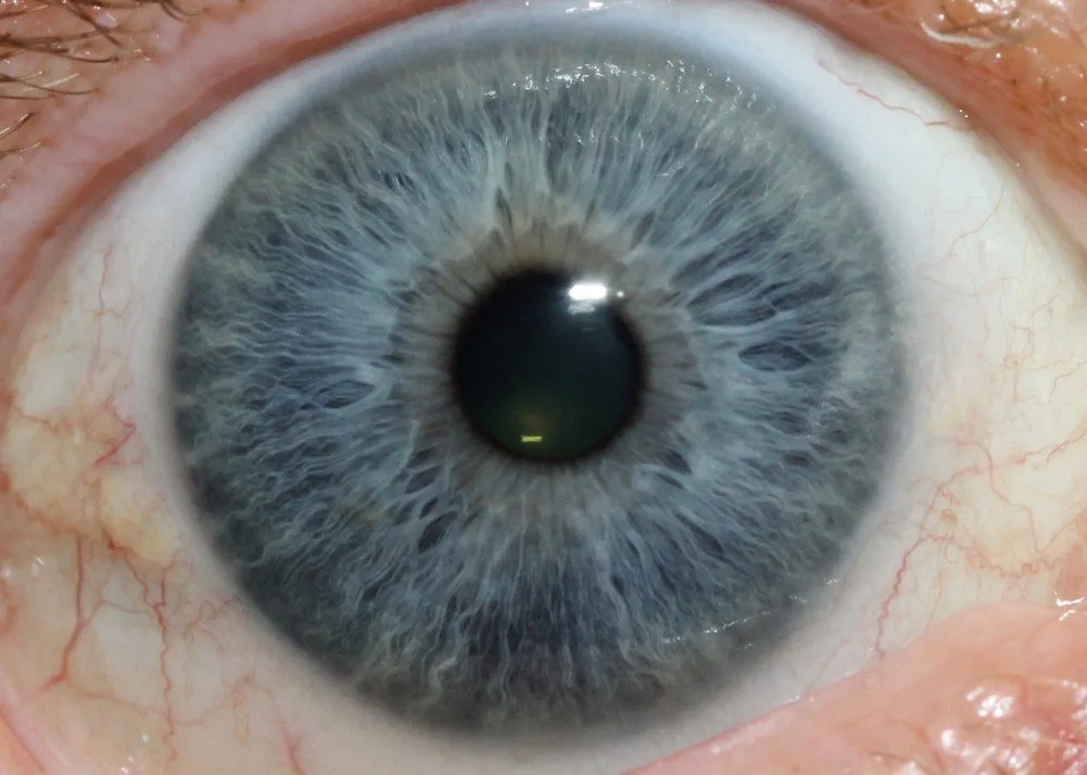 Come allestire aule pratiche in Italia con le fotocamere MAIKONG per corsi di iridologia — MAIKONG IRIDOLOGY CAMERA (1543).jpg