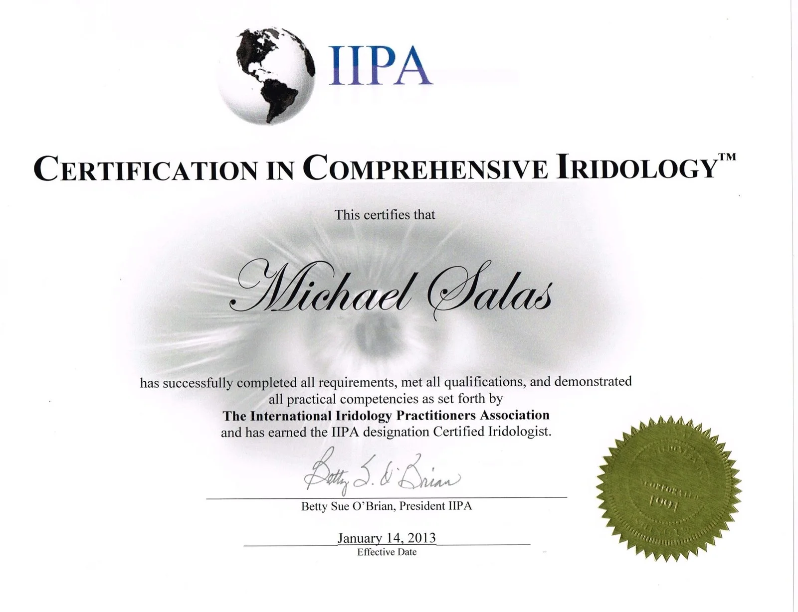 Master in Iridologia Oculistica: guida pratica per istituti di formazione e docenti in Italia — MAIKONG IRIDOLOGY CAMERA (1455).jpg